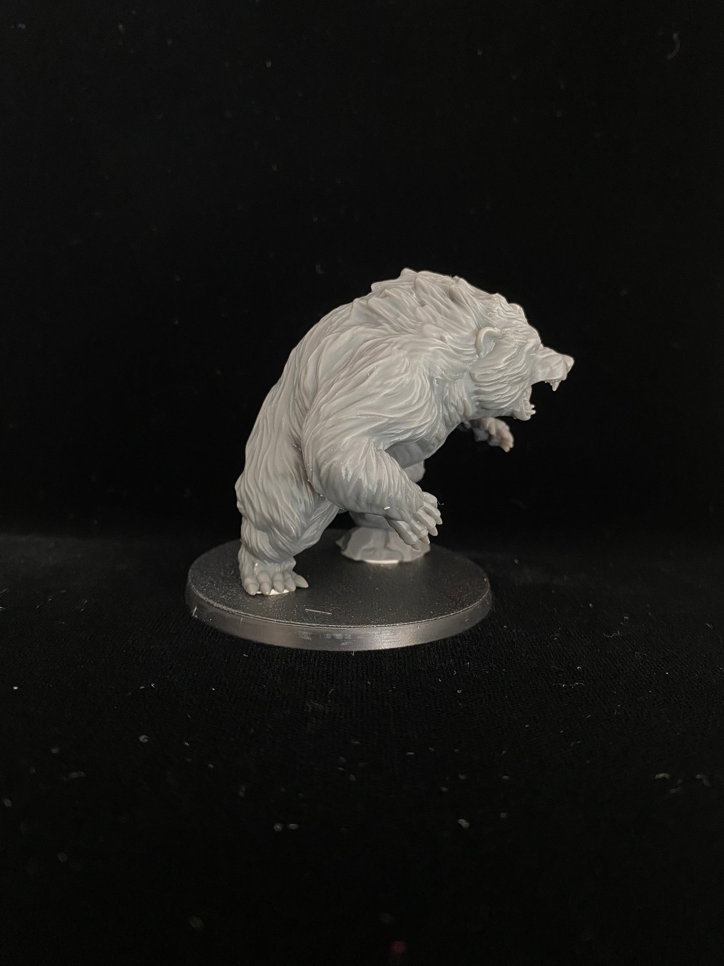 Giant bears
