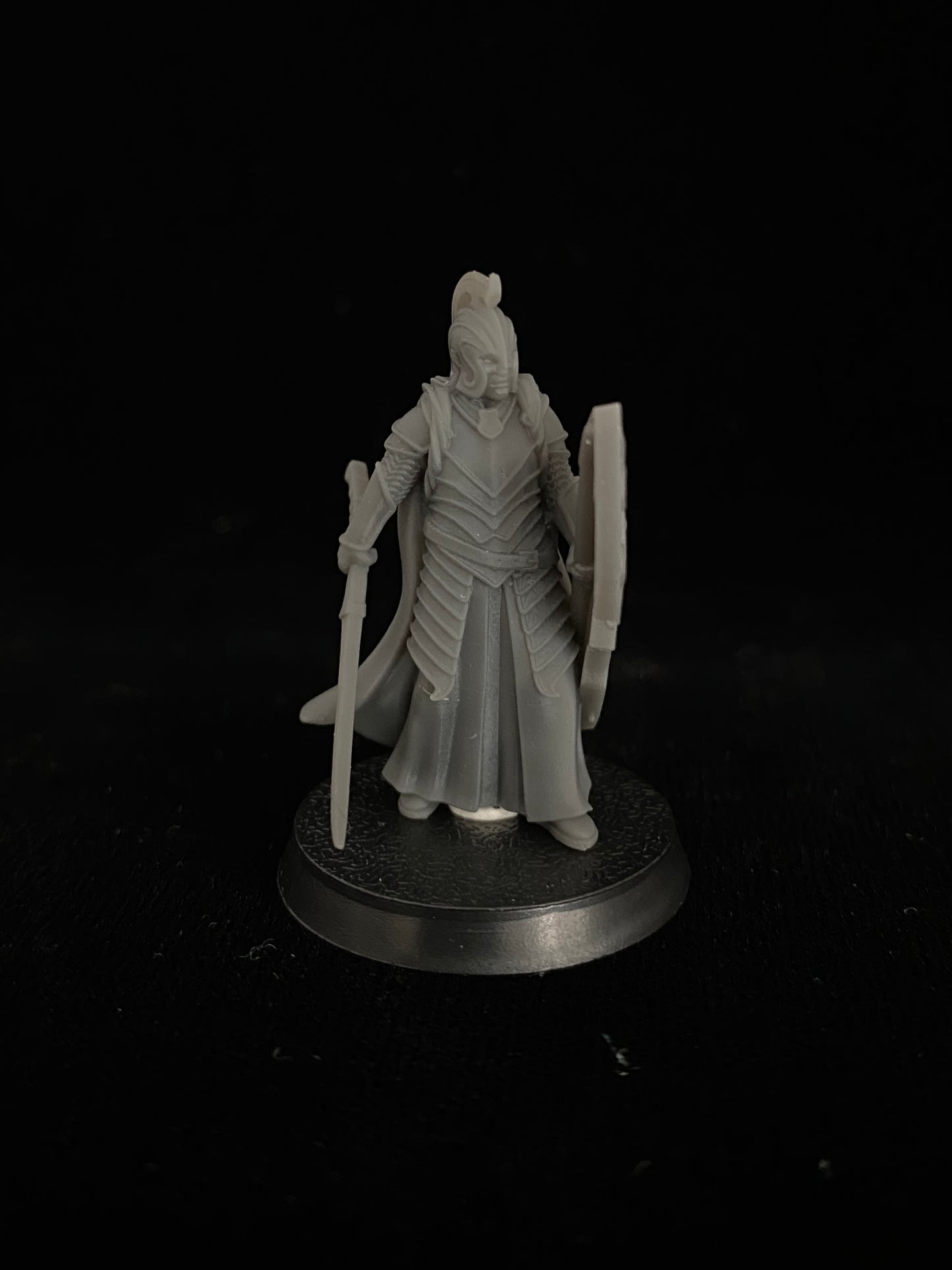 Elven warriors with swords and shields