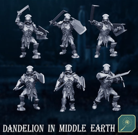 Swordsmen with shields