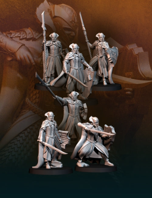 Royal Guards