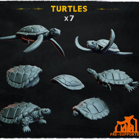 Animal set