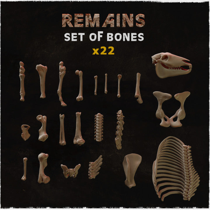 Set d'Os