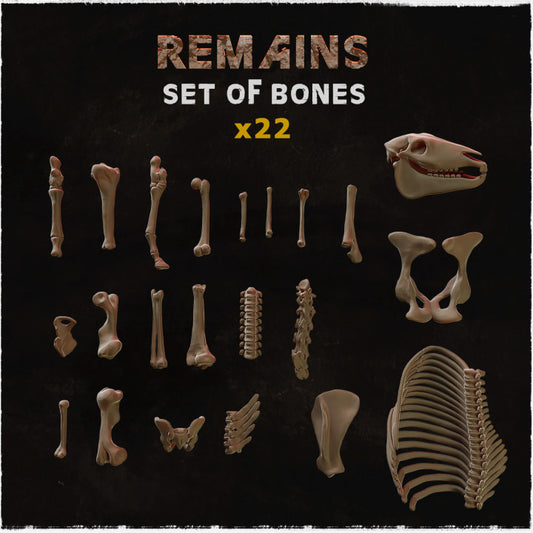 Bone Set