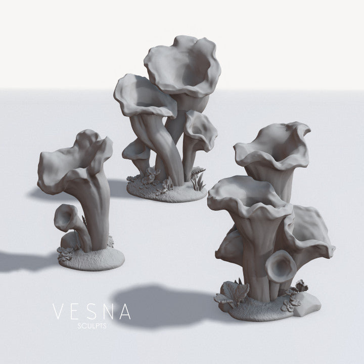 Mushrooms
