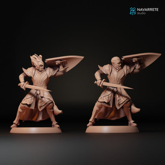 Soldiers of the Swan Army