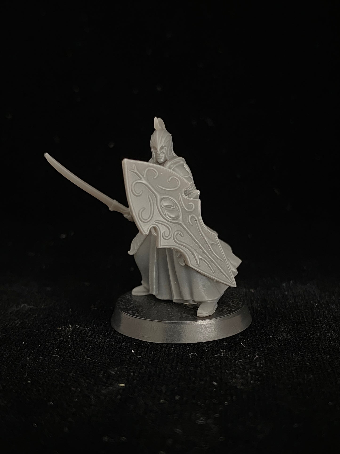 Elven warriors with swords and shields