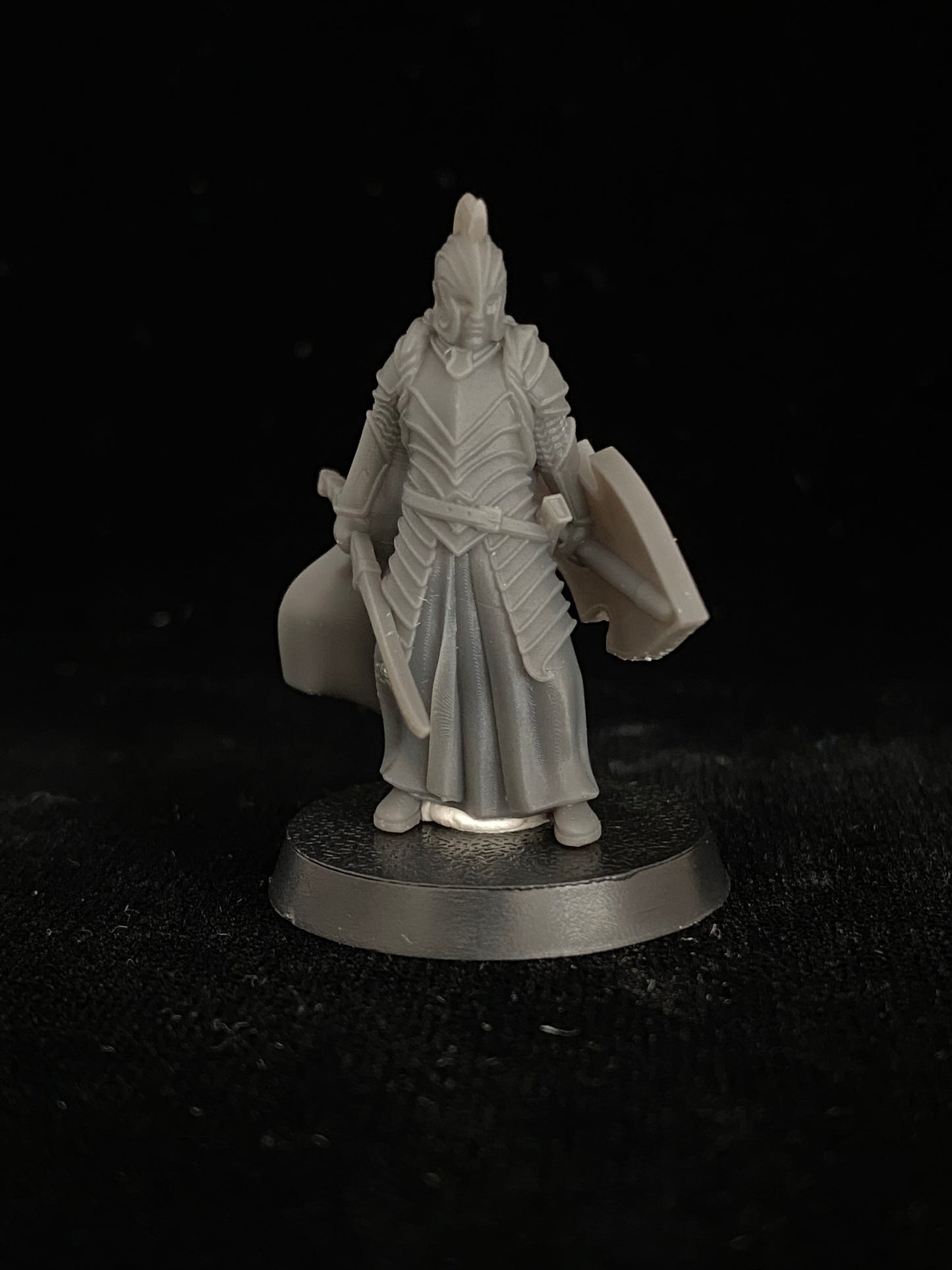 Elven warriors with swords and shields
