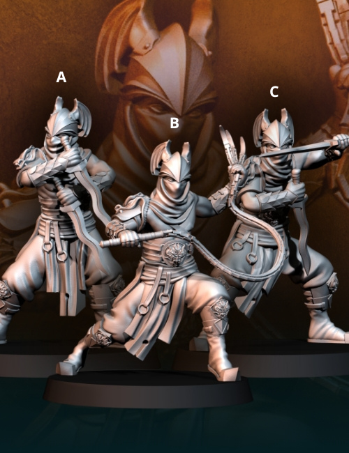 Assassins des terres du Sud