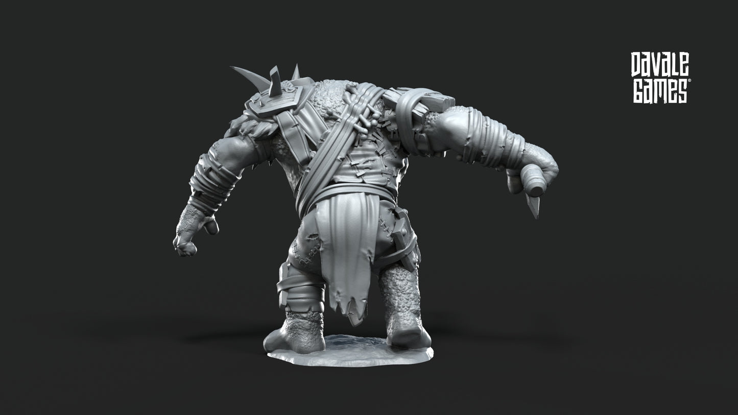 Leader of the Hill Trolls