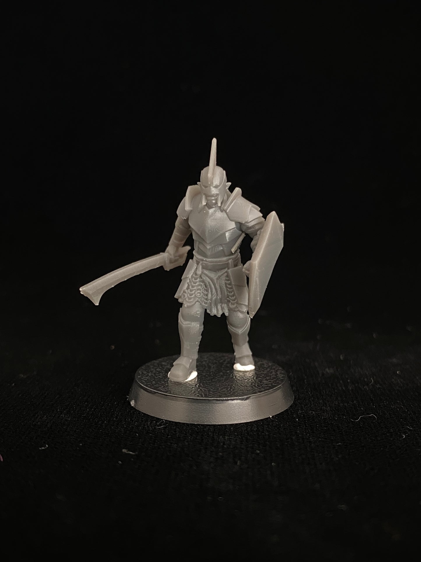 Swordsmen of the Legions