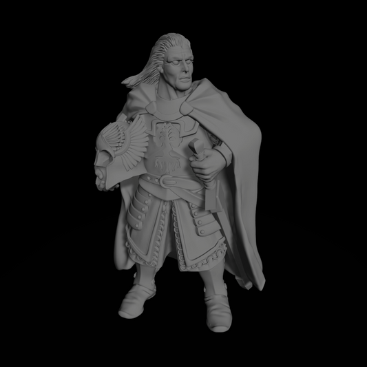 Captain of the Court Guards
