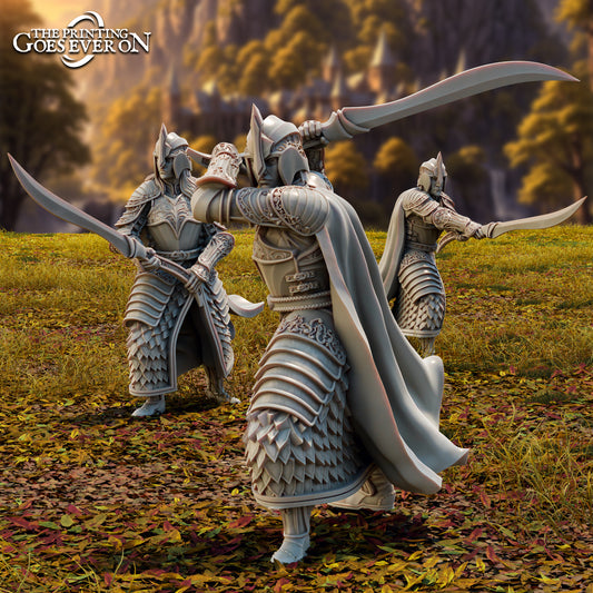 Palace Guards (Swords)