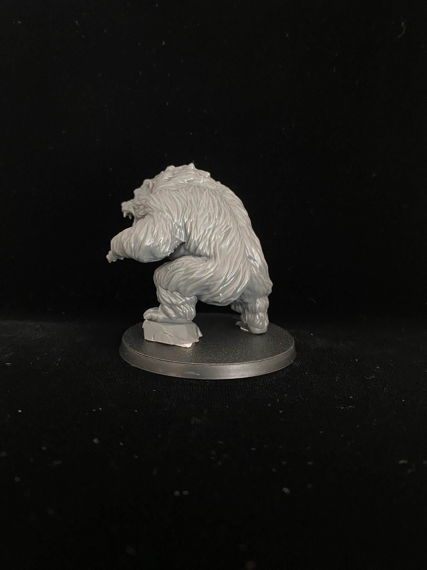 Giant bears