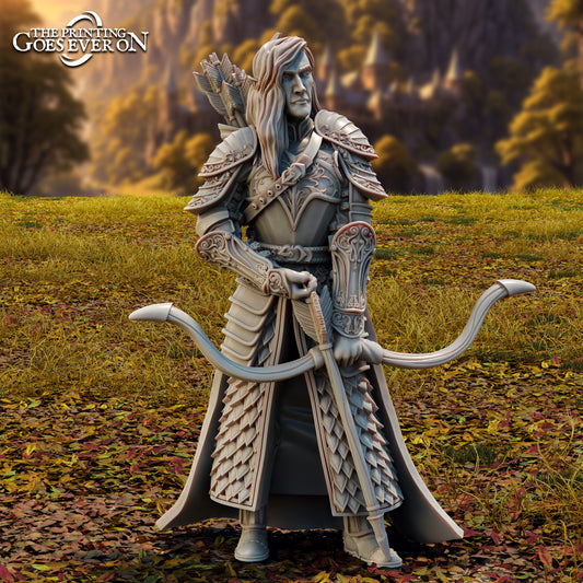 Haller, Elven Captain