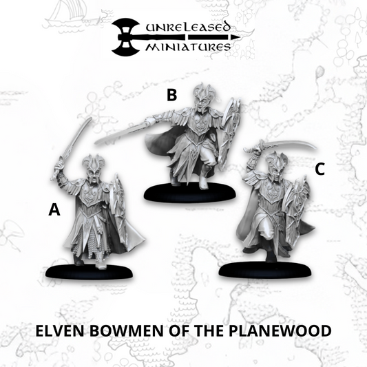 Mirkwood Elven Warriors (swords)