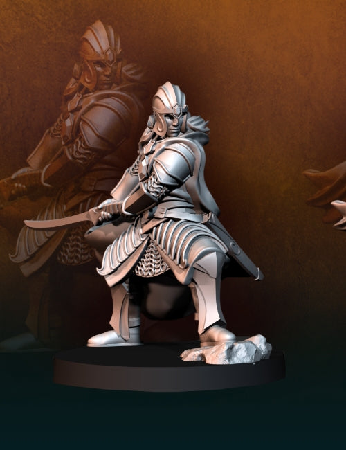 Elven Captain