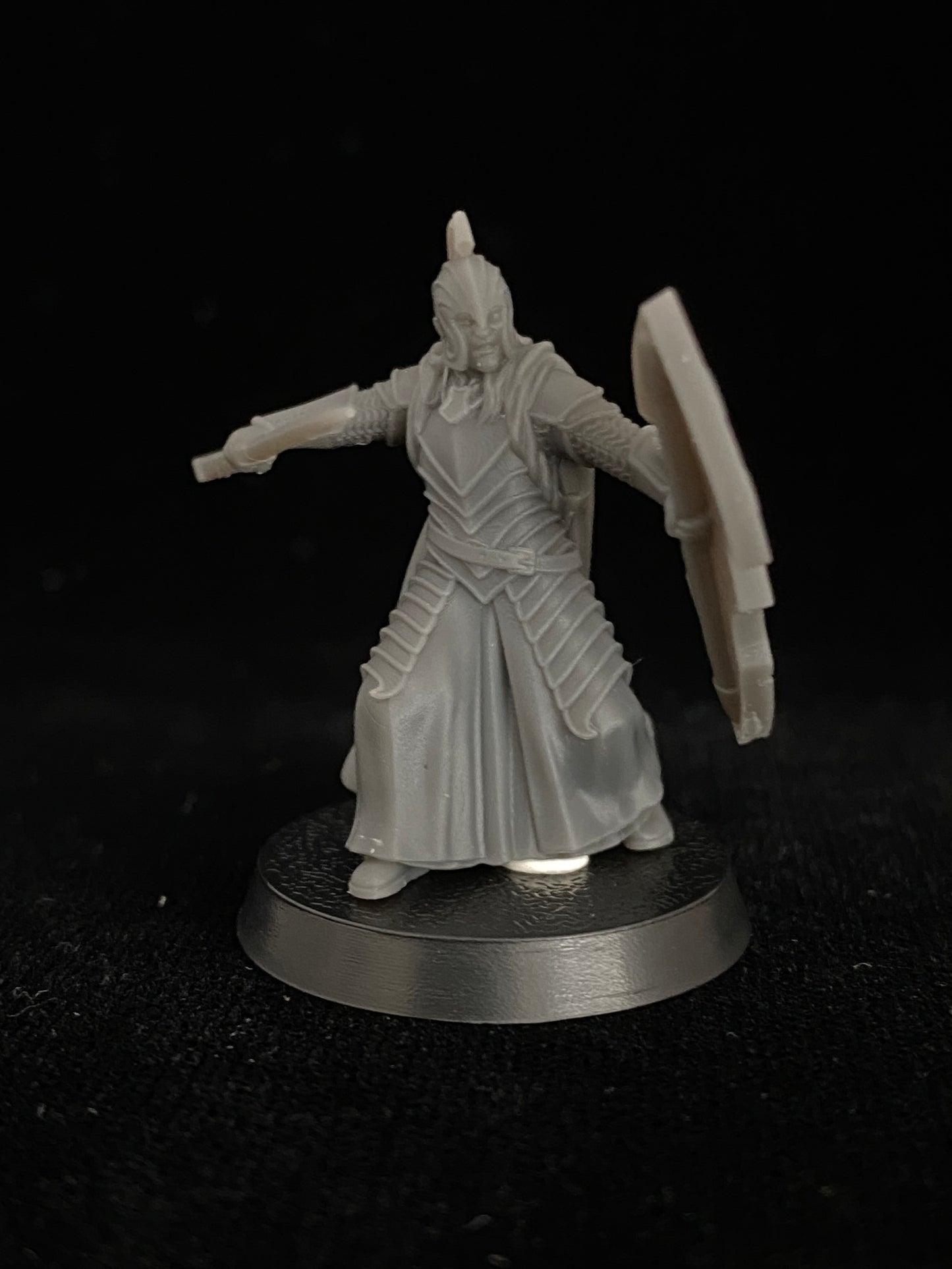 Elven warriors with swords and shields