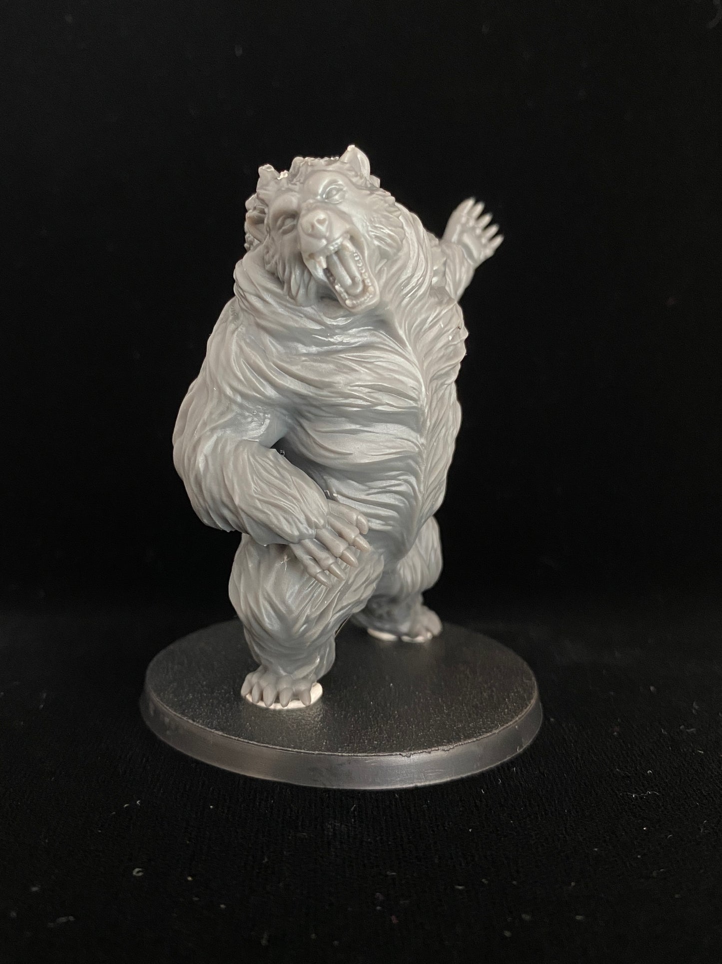 Giant bears