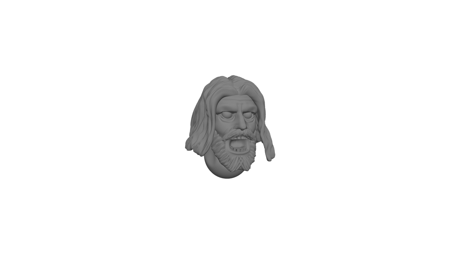 Heads of the warriors of the men of the West