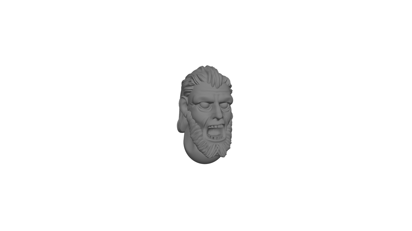 Heads of the warriors of the men of the West