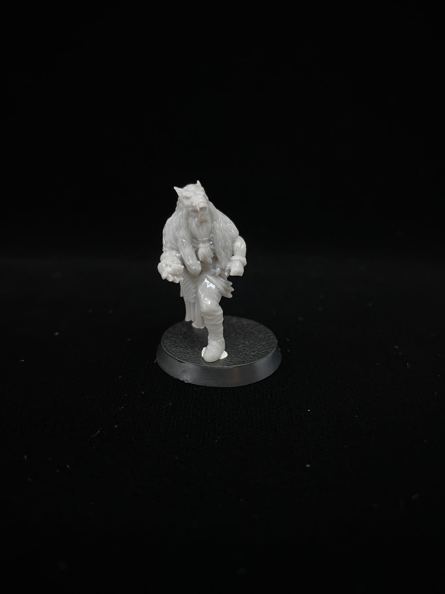 Berserker von Dunland