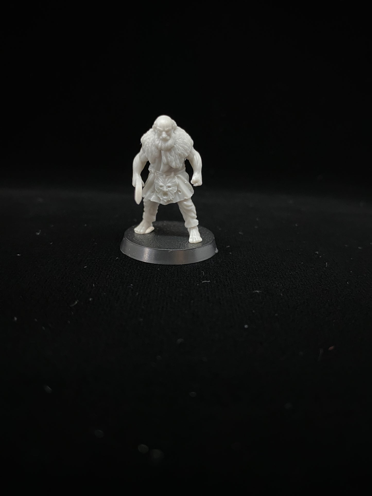 Krieger von Dunland