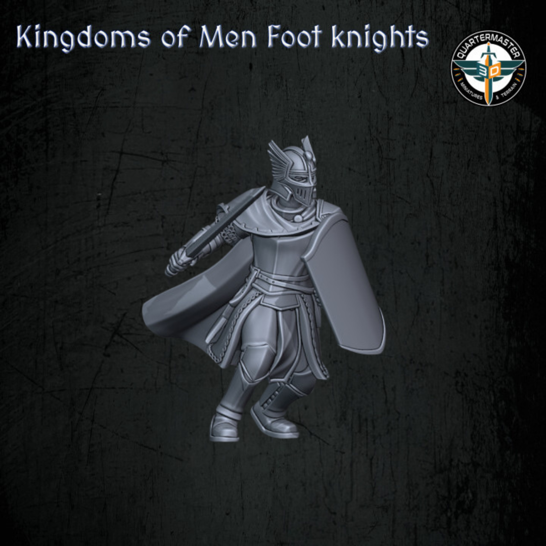 Chevaliers des Fiefs à pied