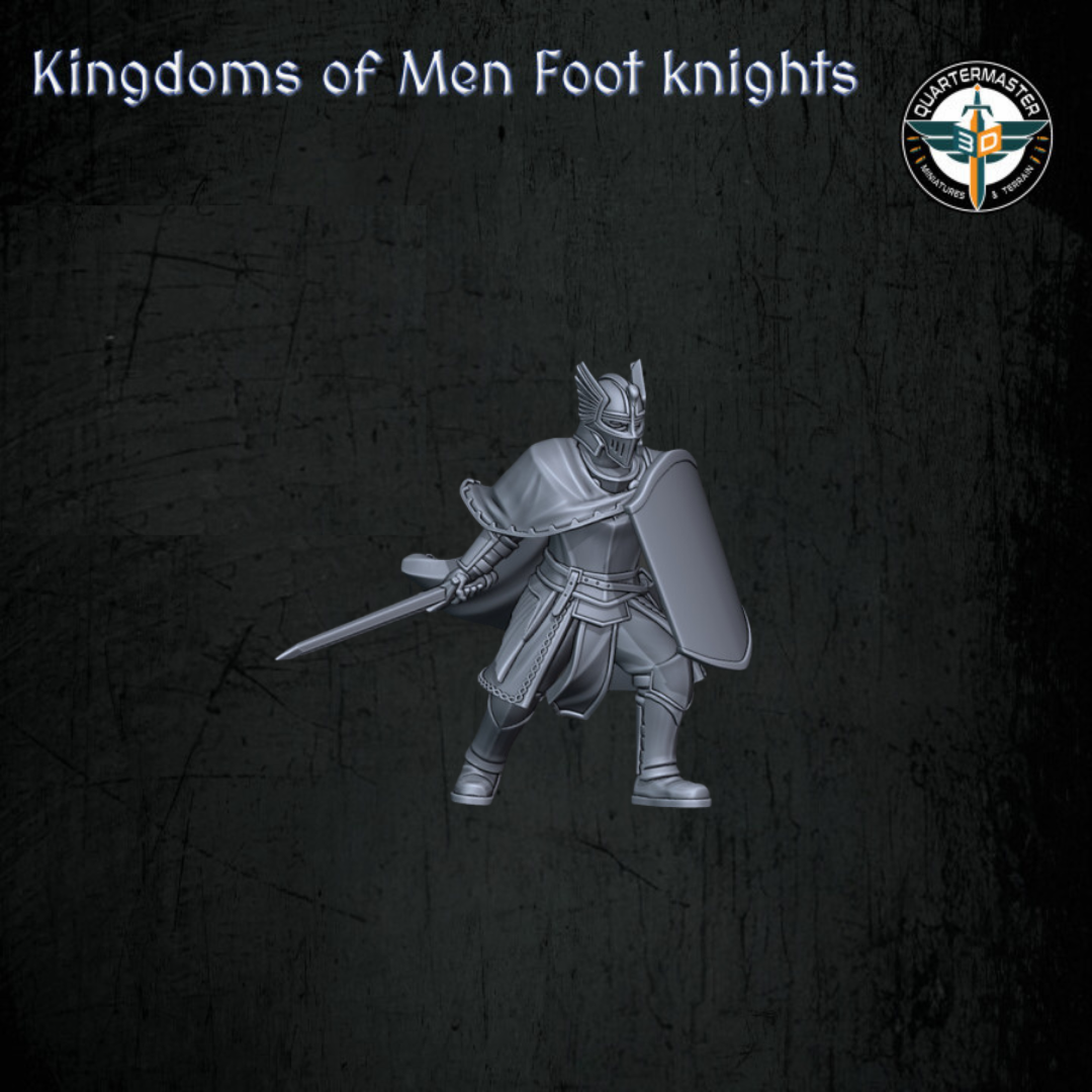 Chevaliers des Fiefs à pied