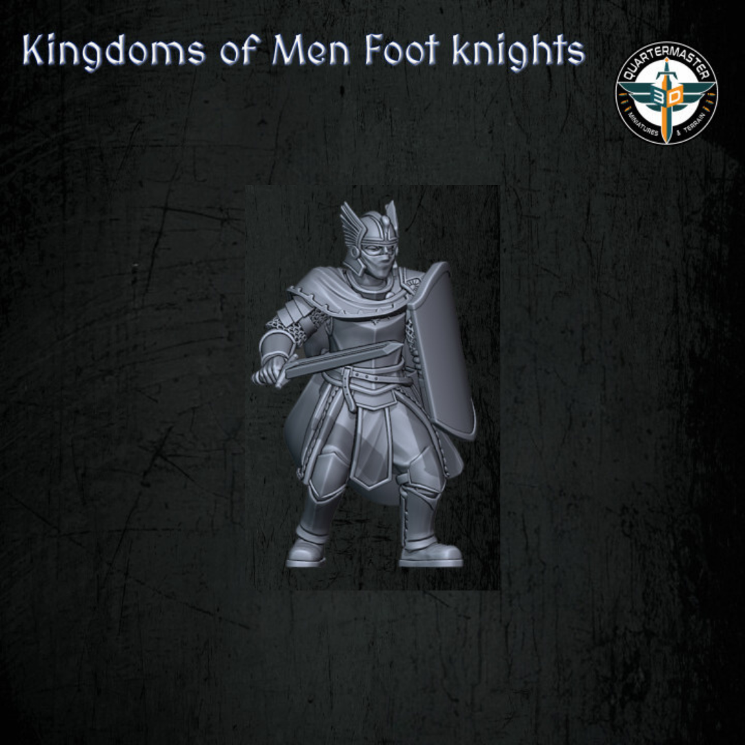 Chevaliers des Fiefs à pied