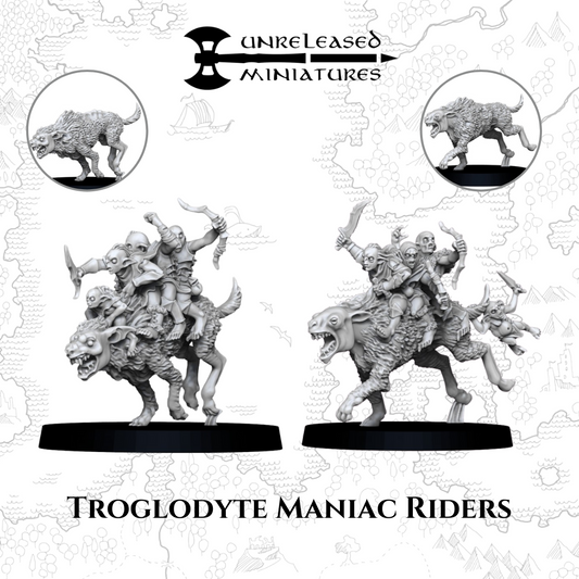 Goblin Marauders on Warg