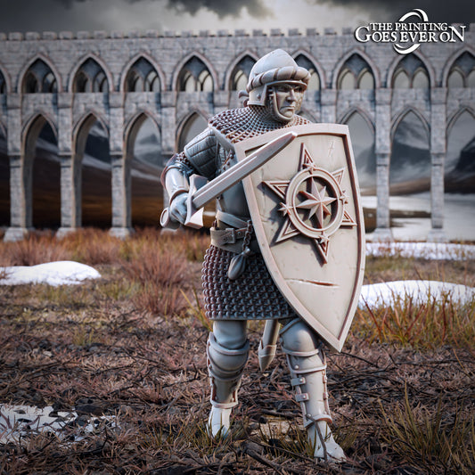 Warriors of Arnor