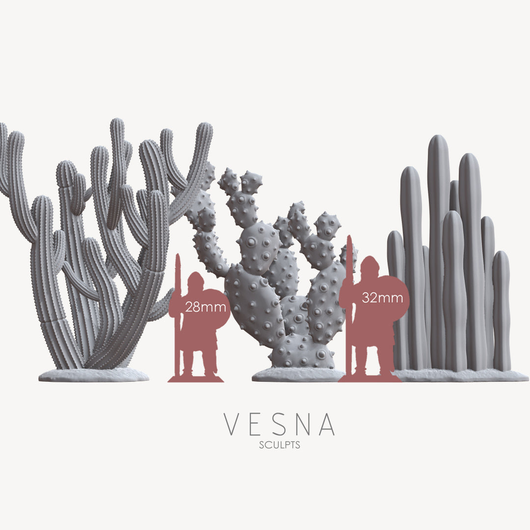 Cactus set