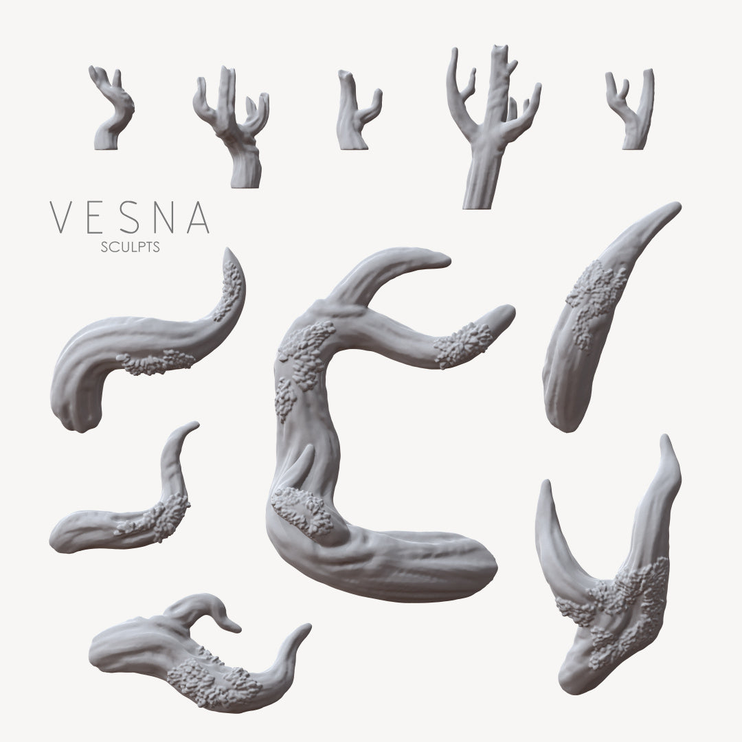 Set of branches