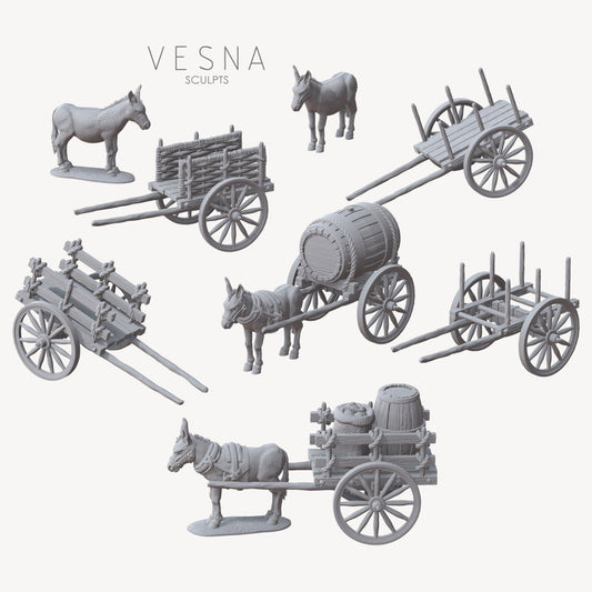 Transport trolley