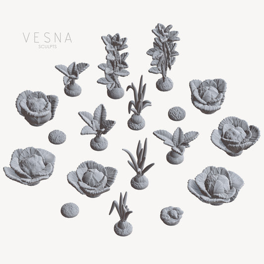 Vegetation