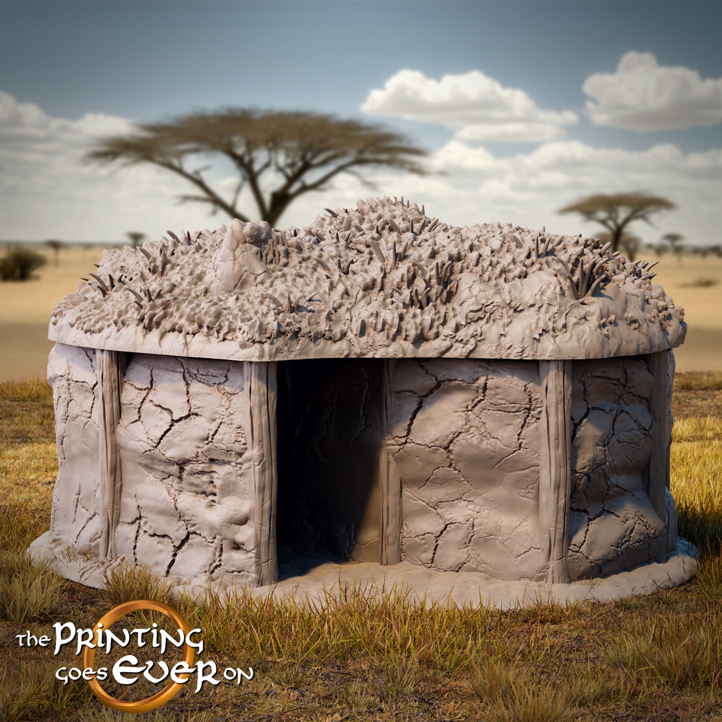 Tribal hut