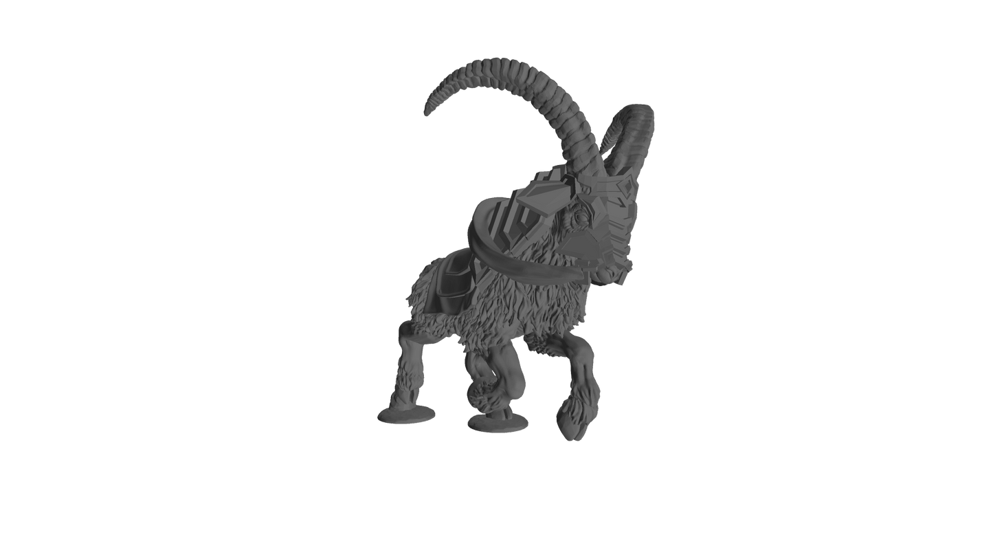 Zwergsteinbock der Stahlberge