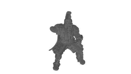 Dwarf Captain of the Steel Mountains