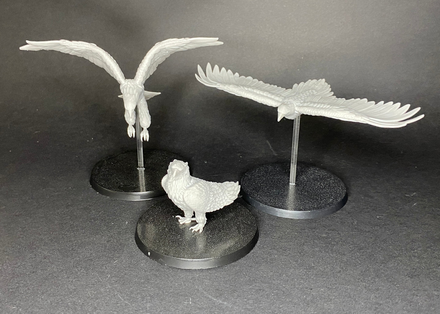 Giant Eagles (TPGEO)