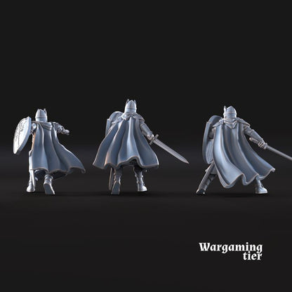 Guerriers Hauts-Humains (épées)
