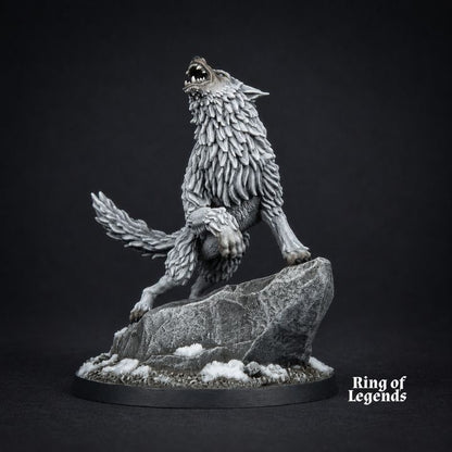 Kommandant der Legionen
