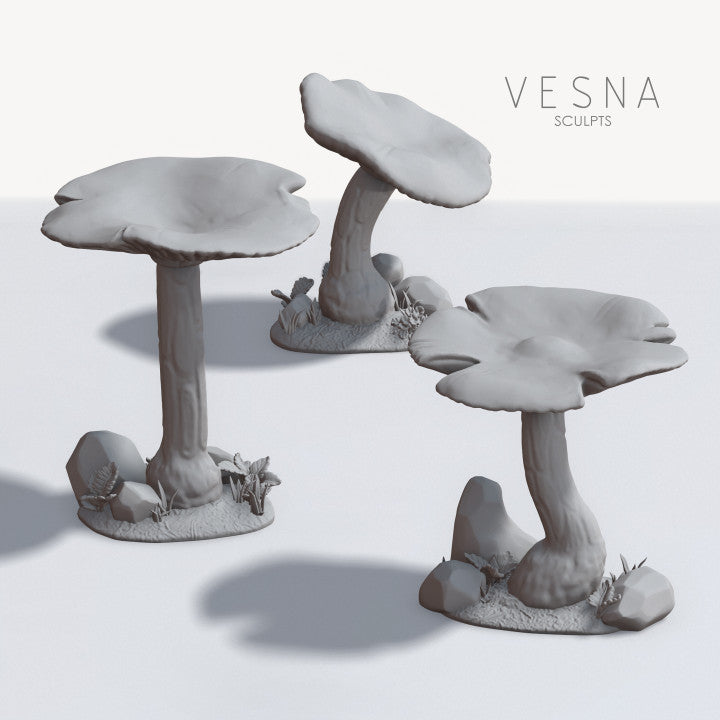 Mushroom set