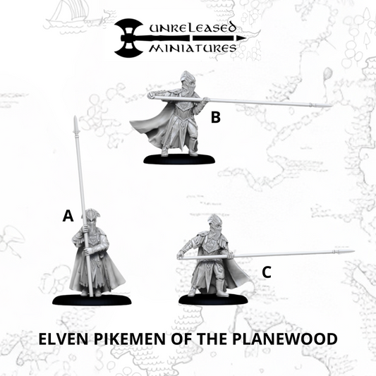 Guerriers Elfiques de la Forêt Noire (piques)