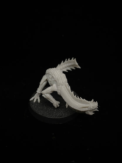 Southern Lands Army Dragon