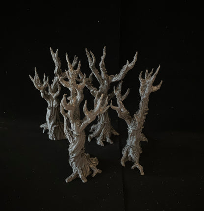 Trees of the Elf Forest