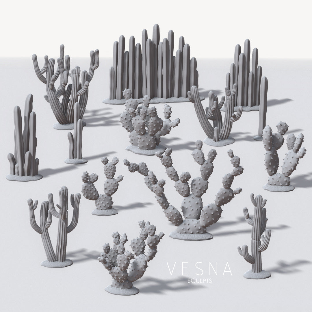 Cactus