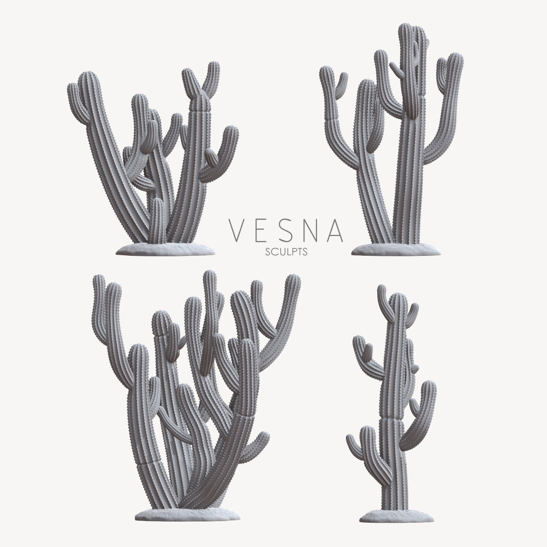 Cactus set