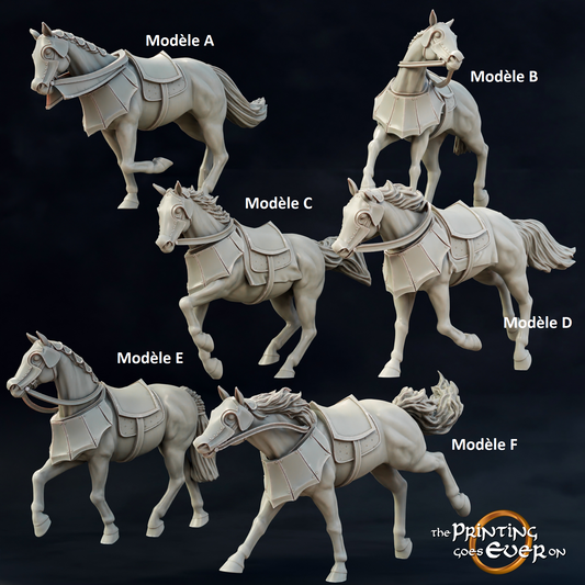 Horses of the armies of the White City